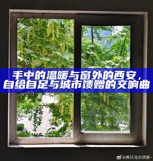 手中的温暖与窗外的西安,自给自足与城市馈赠的交响曲