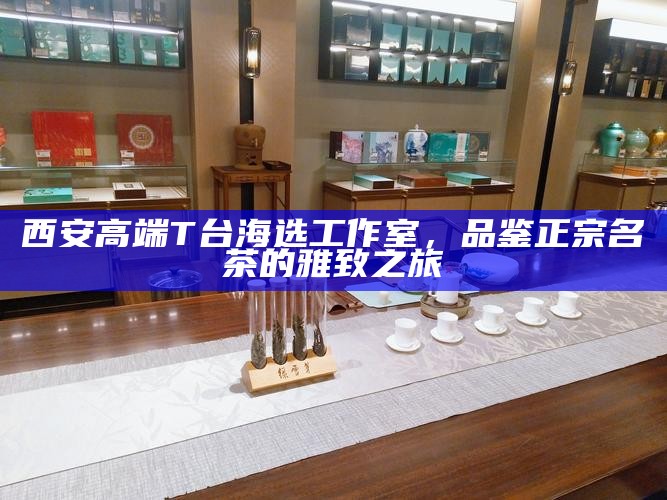 西安喝茶工作室，品味茶香，解锁各类茶叶的无与伦比口感