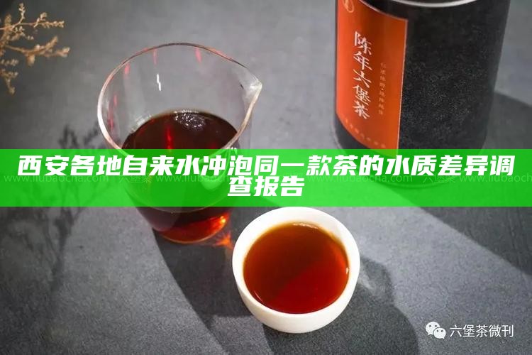 西安各地自来水冲泡同一款茶的水质差异调查报告