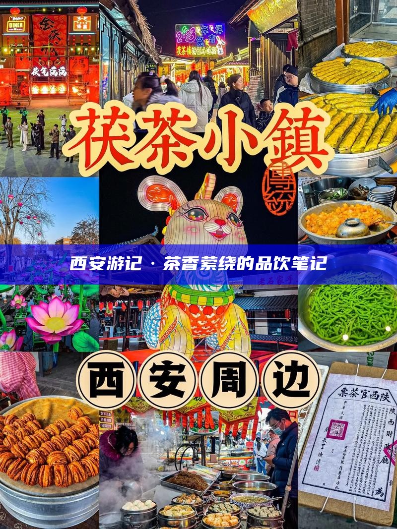西安游记·茶香萦绕的品饮笔记