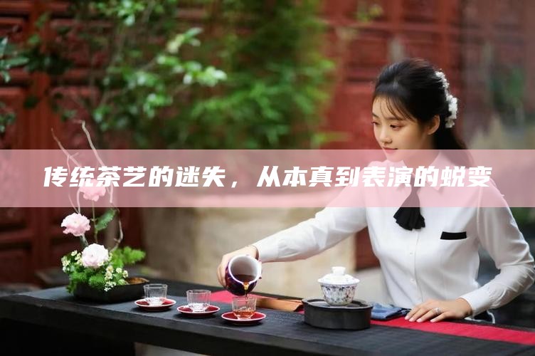 传统茶艺的迷失，从本真到表演的蜕变